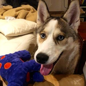 Meet your Posher, Matt